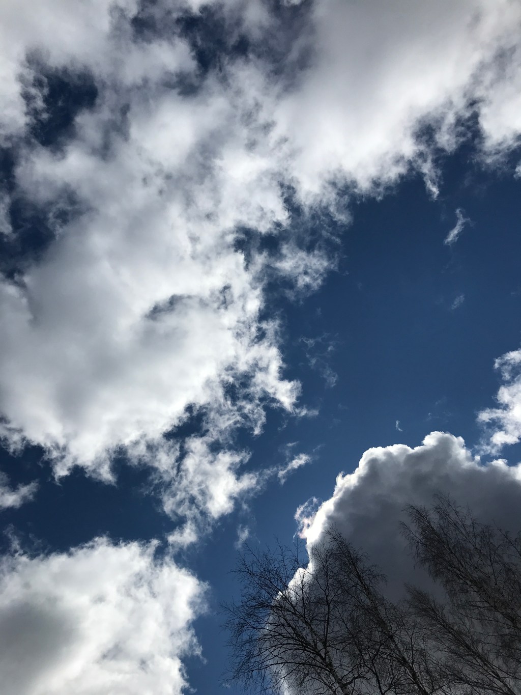 Zurück aus Finnland – mit Musik im&nbsp;Gepäck…